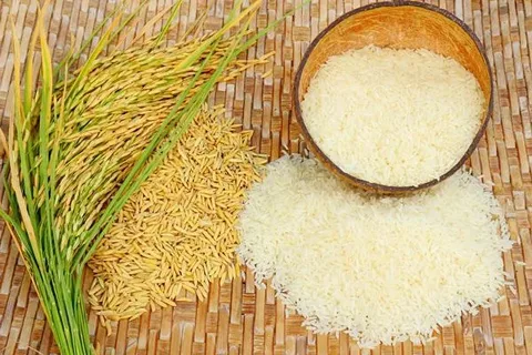 تصویر 2 از فروش برنج چمپا فوق ممتاز امید + قیمت خرید به صرفه